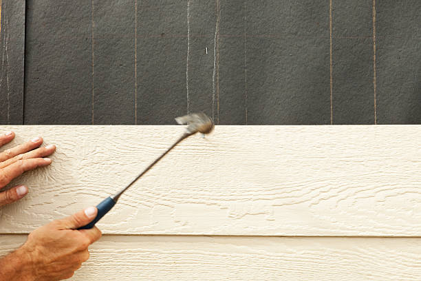 Best Wood Siding Installation  in Danville, AR